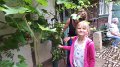 Kinderfest-und Brunnenehrung (13a)
